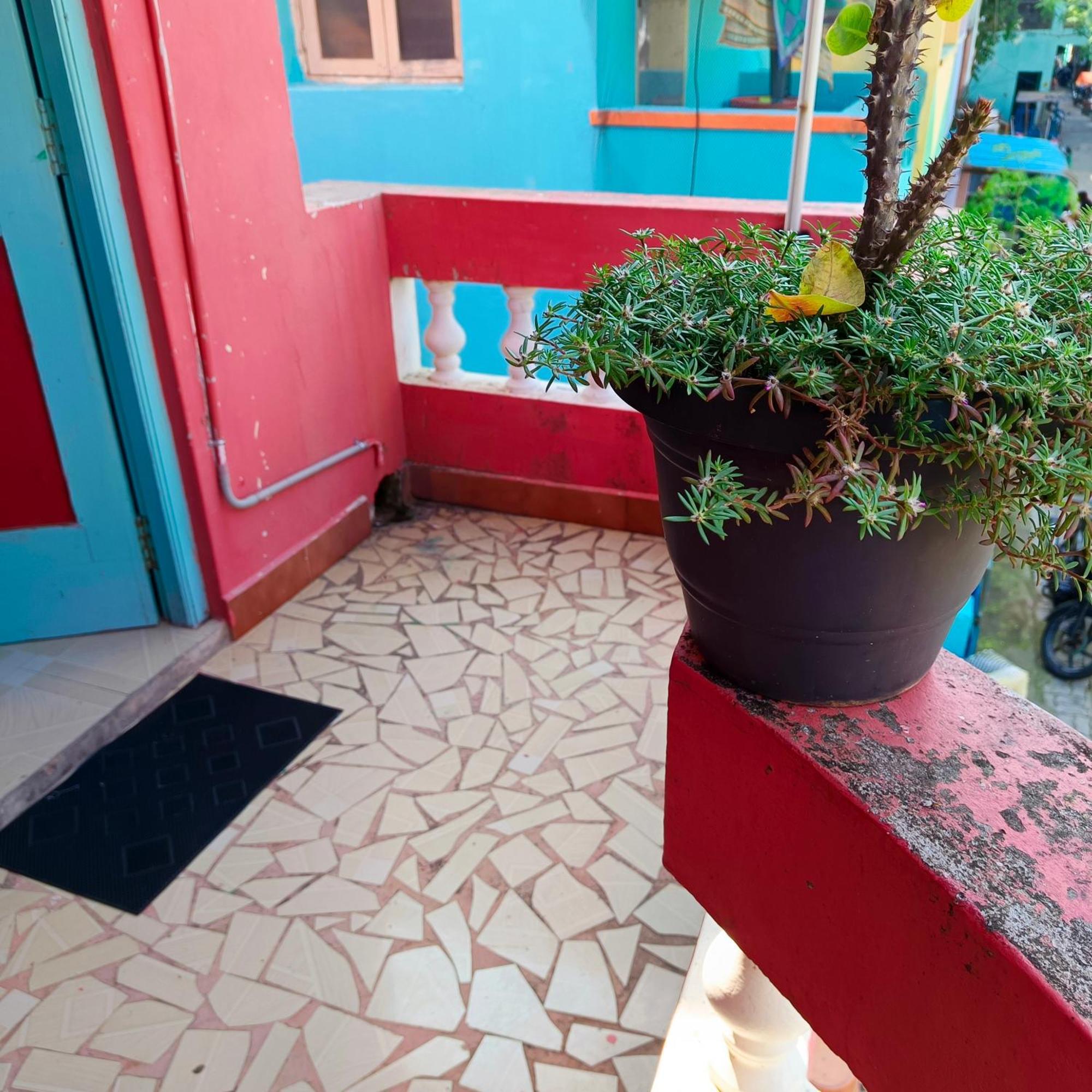 Blue Waves Homestay *